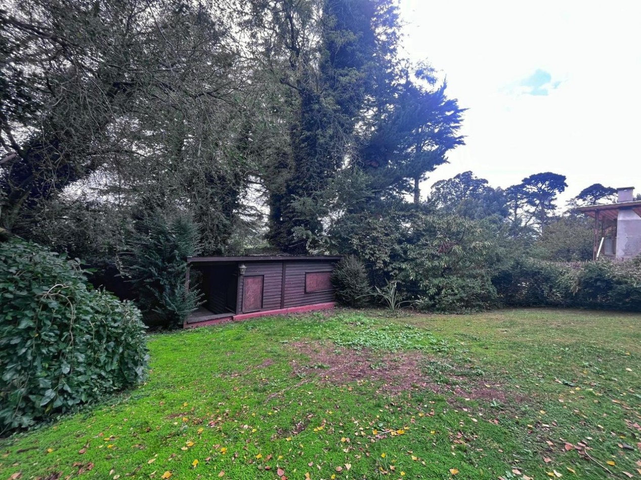 VENTA CABAÑA EN SIERRA DE LOS PADRES 