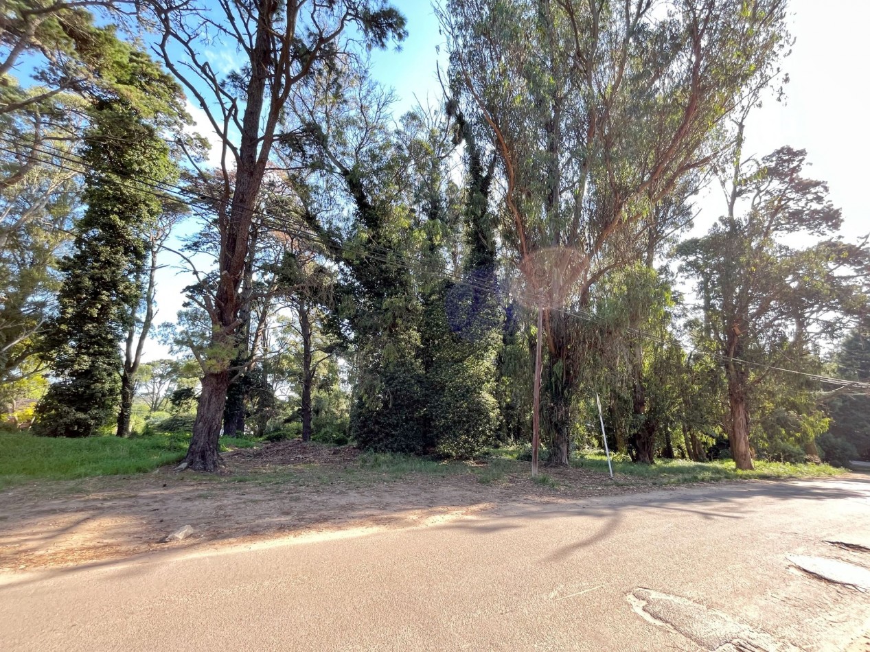 VENTA EN BLOCK DE 4 LOTES ENTRADA AL BOSQUE PERALTA RAMOS