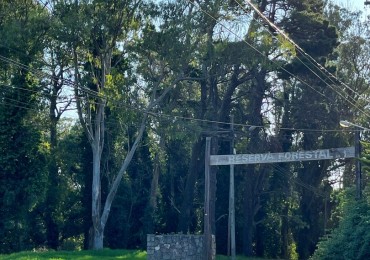 VENTA EN BLOCK DE 4 LOTES ENTRADA AL BOSQUE PERALTA RAMOS